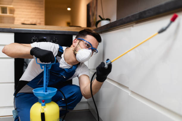 Best Bed Bug Extermination  in Blennerhassett, WV
