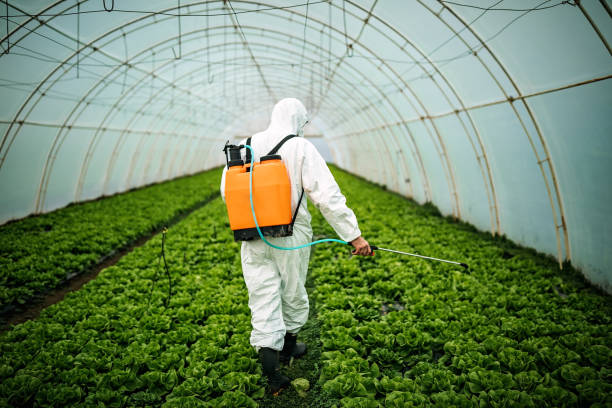 Best Pest Control Near Me in Blennerhassett, WV