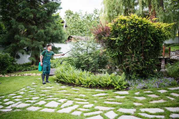 Professional Pest Control in Blennerhassett, WV