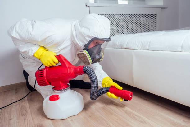 Best Ant Control Services  in Blennerhassett, WV