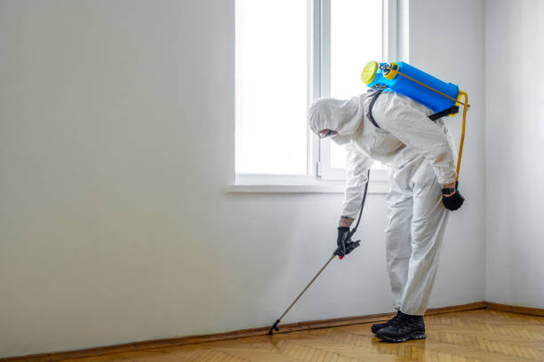 Best Best Pest Control Companies  in Blennerhassett, WV