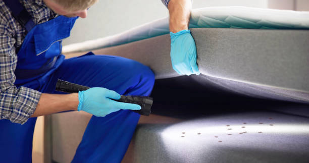 Best Pest Prevention Services  in Blennerhassett, WV